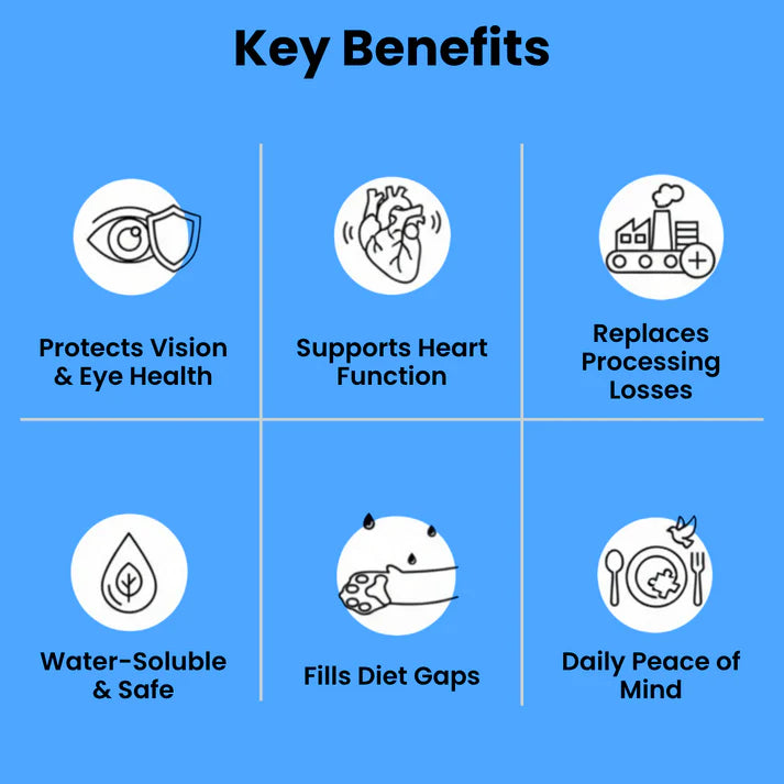 Prevent the Hidden Deficiency Before It Shows Wondernook™ Supplement